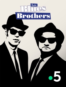 France 5 - Les Blues Brothers