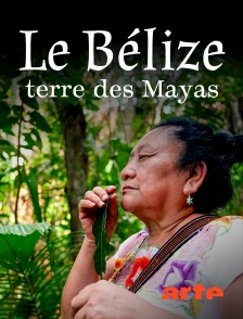 Arte - Le Belize, terre des Mayas