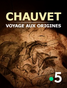 France 5 - Chauvet, voyage aux origines