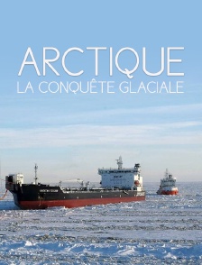 Arctique, la conquête glaciale