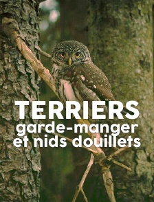 Terriers, garde-manger et nids douillets