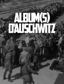 Album(s) d'Auschwitz
