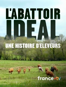 france.tv - L'abattoir idéal, une histoire d'éleveurs
