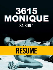 Résumé - 3615 Monique S01