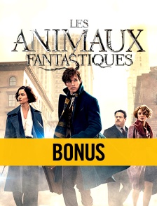 Dans les coulisses des "Animaux fantastiques"
