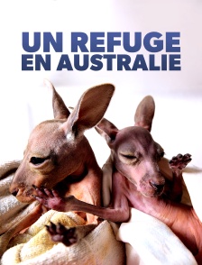 Un refuge en Australie