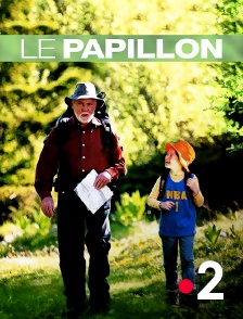 France 2 - Le papillon