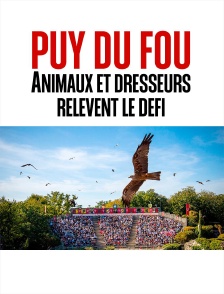 Puy du Fou : animaux et dresseurs relèvent le défi
