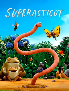 Superasticot