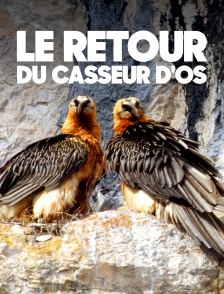 Le retour du casseur d'os
