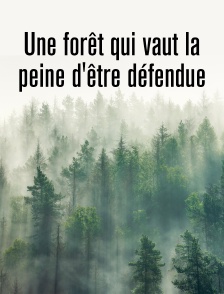 Une forêt qui vaut la peine d'être défendue