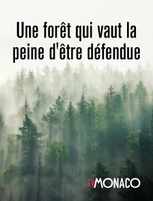 TV Monaco - Une forêt qui vaut la peine d'être défendue