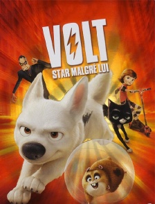 Volt, star malgré lui