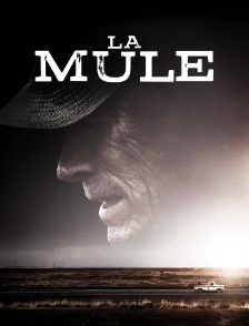 La mule