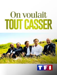 TF1 - On voulait tout casser