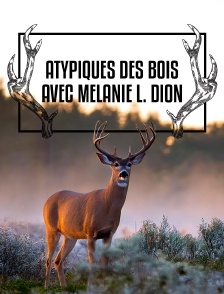 Atypiques des bois avec Mélanie L. Dion