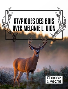 Chasse et pêche - Atypiques des bois avec Mélanie L. Dion