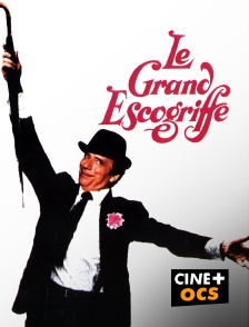 CINÉ Cinéma - Le grand escogriffe