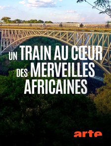 Arte - Un train au coeur des merveilles africaines : De Dar es Salam aux chutes Victoriae