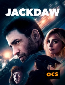 OCS - Jackdaw