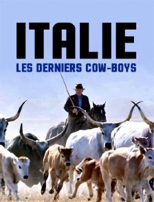 Italie, les derniers cow-boys