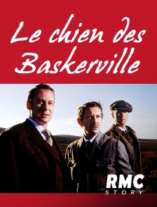 Le chien des Baskerville