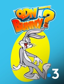 France 3 - Quoi de neuf Bunny ?