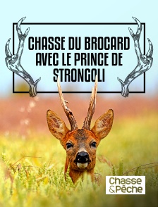 Chasse et pêche - Chasse du brocard avec le prince de Strongoli