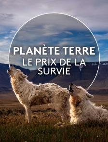 Planète Terre, le prix de la survie