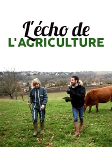 L'écho de l'agriculture
