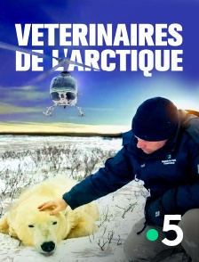 Vétérinaires de l'Arctique