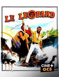 CINÉ Cinéma - Le léopard