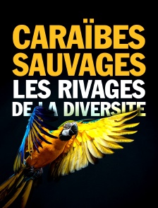 Caraïbes sauvages, les rivages de la biodiversité
