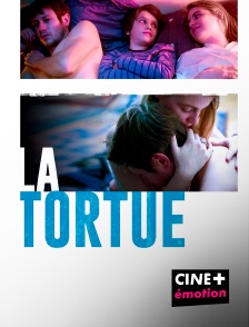 CINE+ Emotion - La tortue