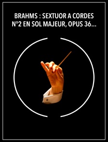 Brahms : Sextuor à cordes n°2 en sol majeur, opus 36 - Wiener Streichsextett