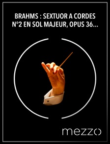 Mezzo - Brahms : Sextuor à cordes n°2 en sol majeur, opus 36 - Wiener Streichsextett