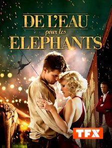 De l'eau pour les éléphants