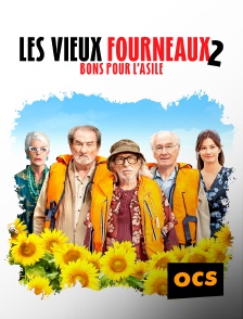 OCS - Les Vieux Fourneaux 2 : bons pour l'asile