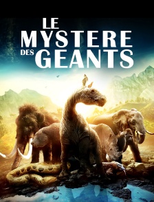 Le mystère des géants disparus