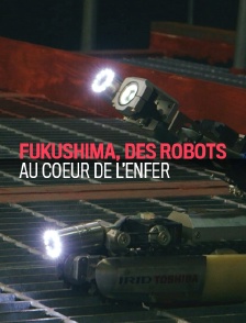 Fukushima, des robots au coeur de l'enfer