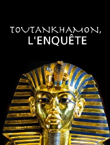 Toutankhamon, l'enquête
