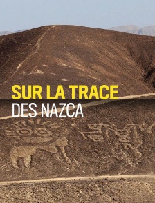 Pérou : sur les traces des Nazca
