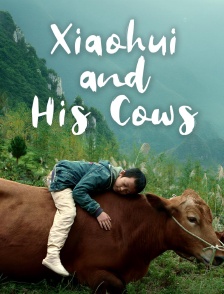 Xiaohui and his cows