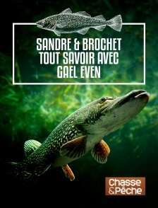 Chasse et pêche - Suivez le guide 3 : sandre & brochet tout savoir avec Gaël Even