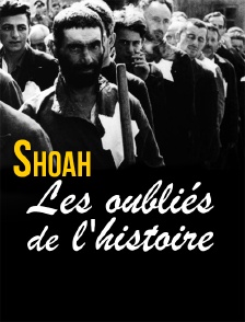 Shoah, les oubliés de l'histoire