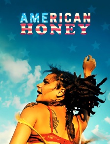 American Honey