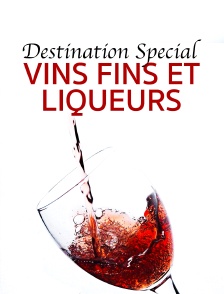 Destination Special : Vins Fins Et Liqueurs