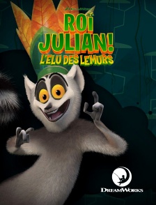 DreamWorks - Roi Julian ! L'élu des lémurs