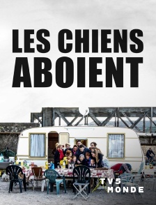 TV5MONDE - Les chiens aboient