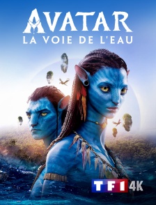 TF1 4K - Avatar : La voie de l'eau